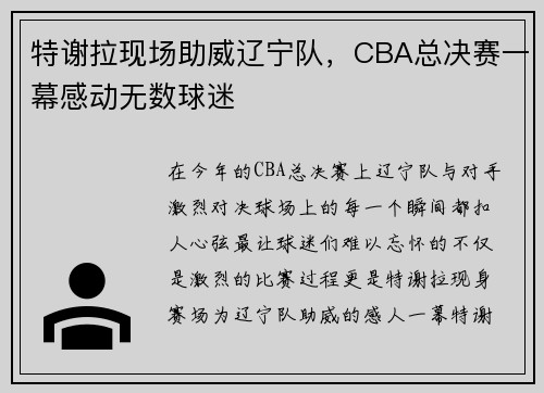 特谢拉现场助威辽宁队，CBA总决赛一幕感动无数球迷