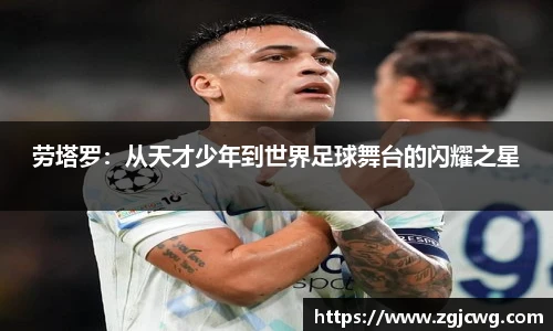xc体育官方网站入口